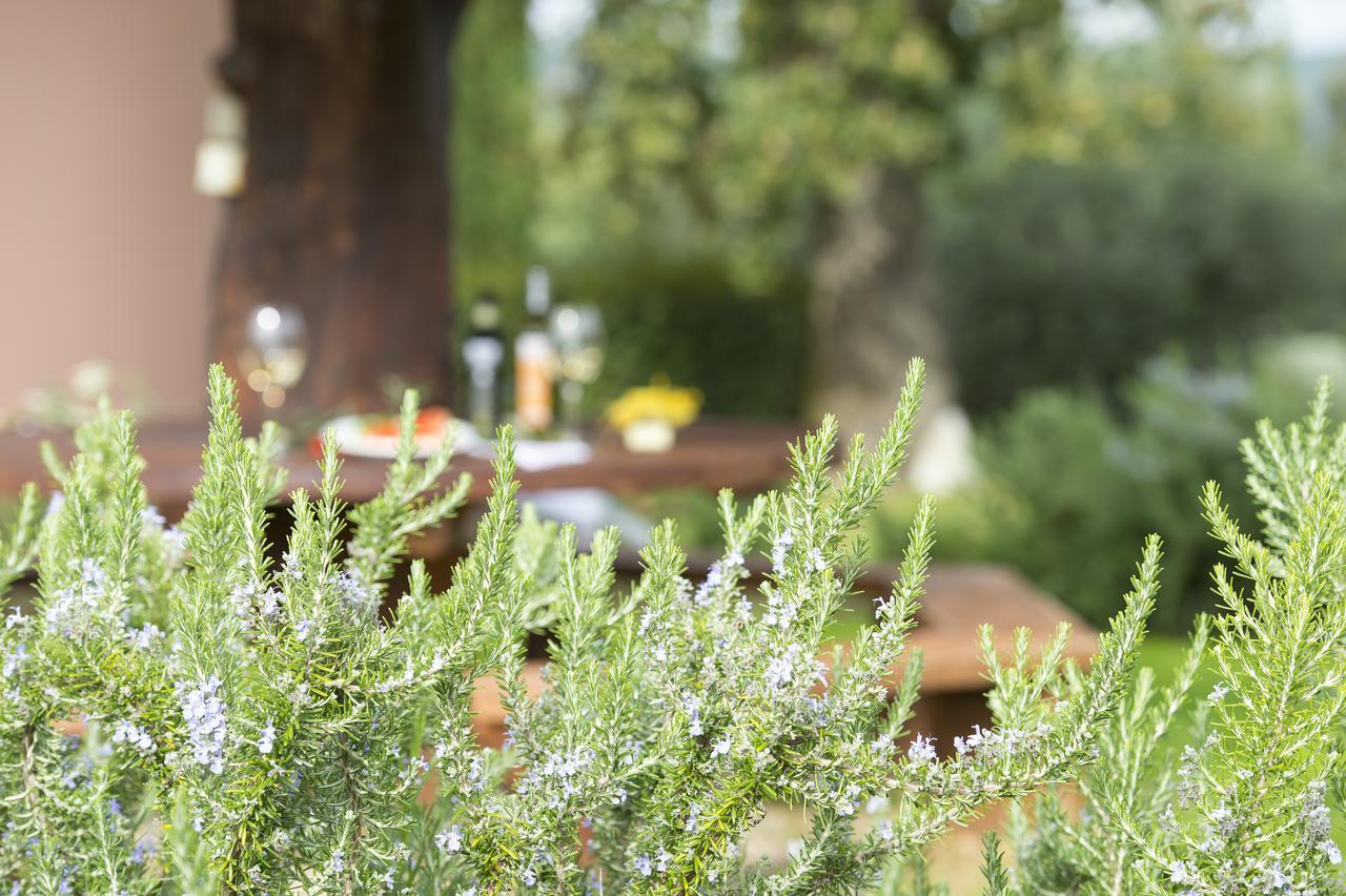 Agriturismo Poggio Corbello La Pesta Extérieur photo