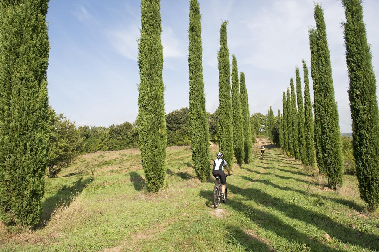 Agriturismo Poggio Corbello La Pesta Extérieur photo