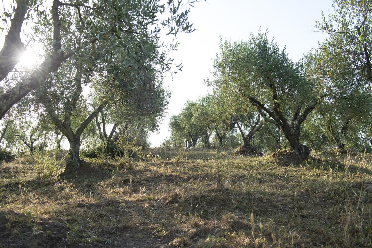 Agriturismo Poggio Corbello La Pesta Extérieur photo