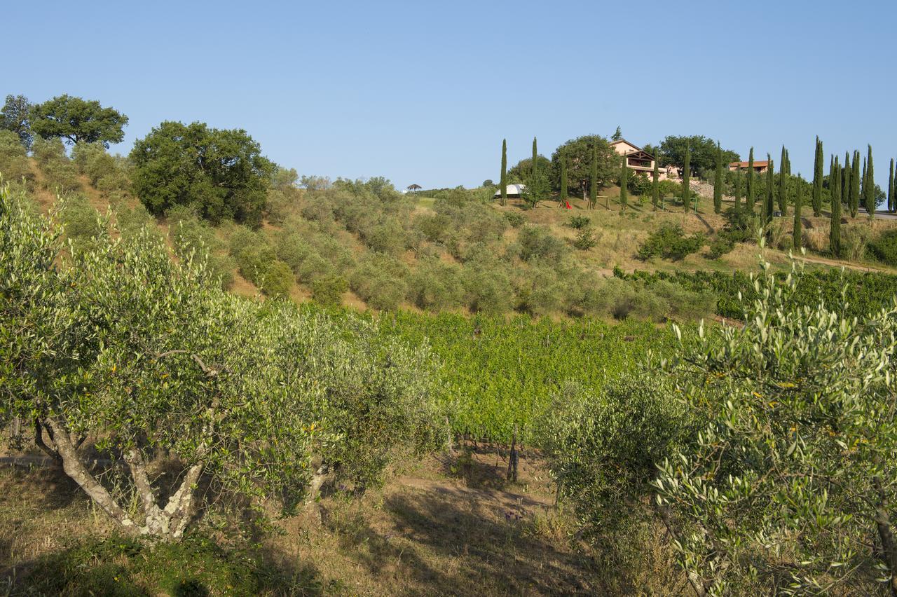Agriturismo Poggio Corbello La Pesta Extérieur photo